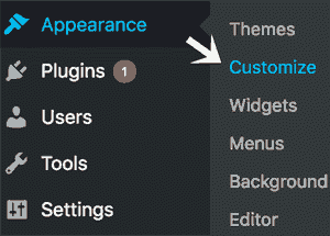 Static Page In WordPress Appearance Customize