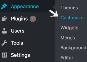 Static Page In WordPress Appearance Customize
